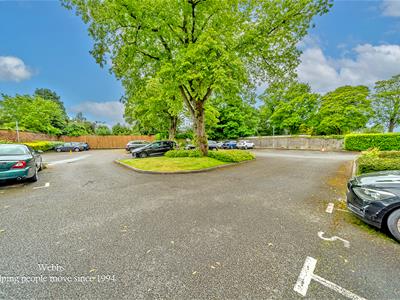 Picture 20